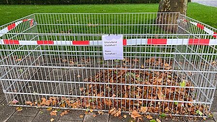 Bladkorf (bak voor bladeren die in de herfst van de bomen)