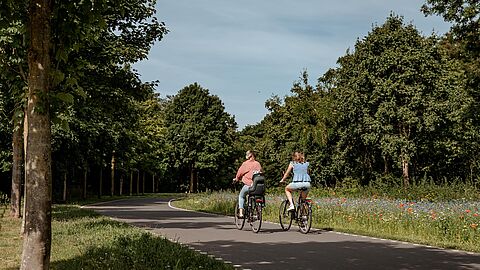 Stel fietsers op Parkstadroute